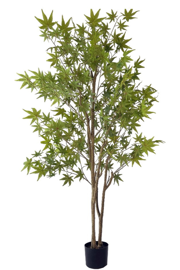 Kunstplant groene esdoorn 180cm by NeverLeafs