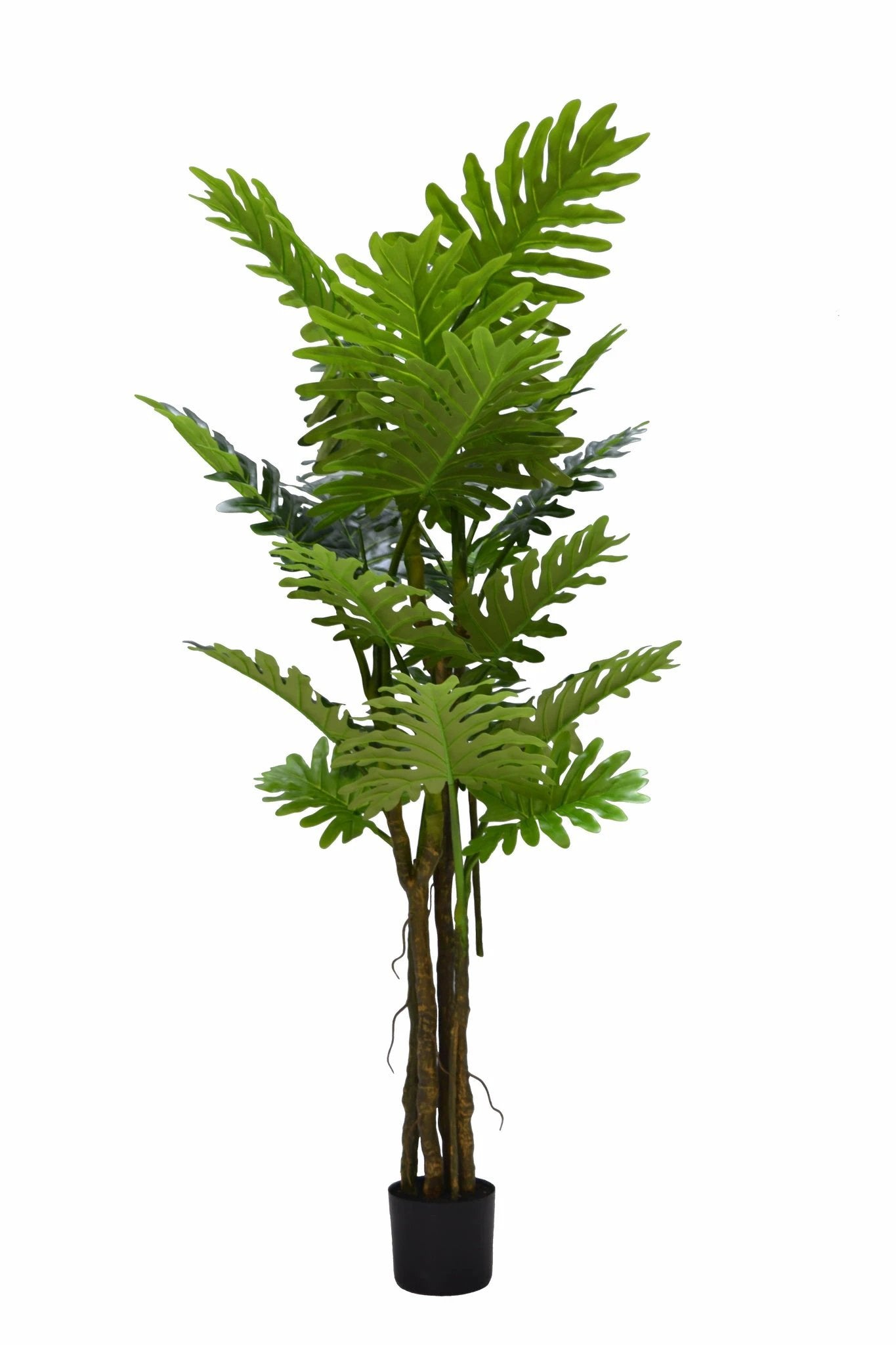 Kunstplant Philodendron luxe 180cm by NeverLeafs