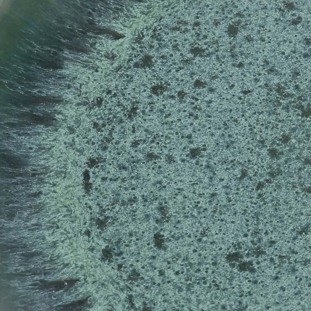 De Aqua Saladebord - Set van 6 by Bazar Bizar Antwerp