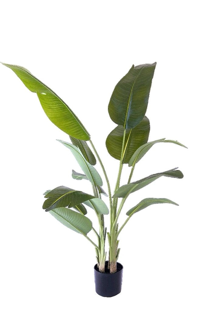 Kunstplant Strelitzia 180cm by NeverLeafs