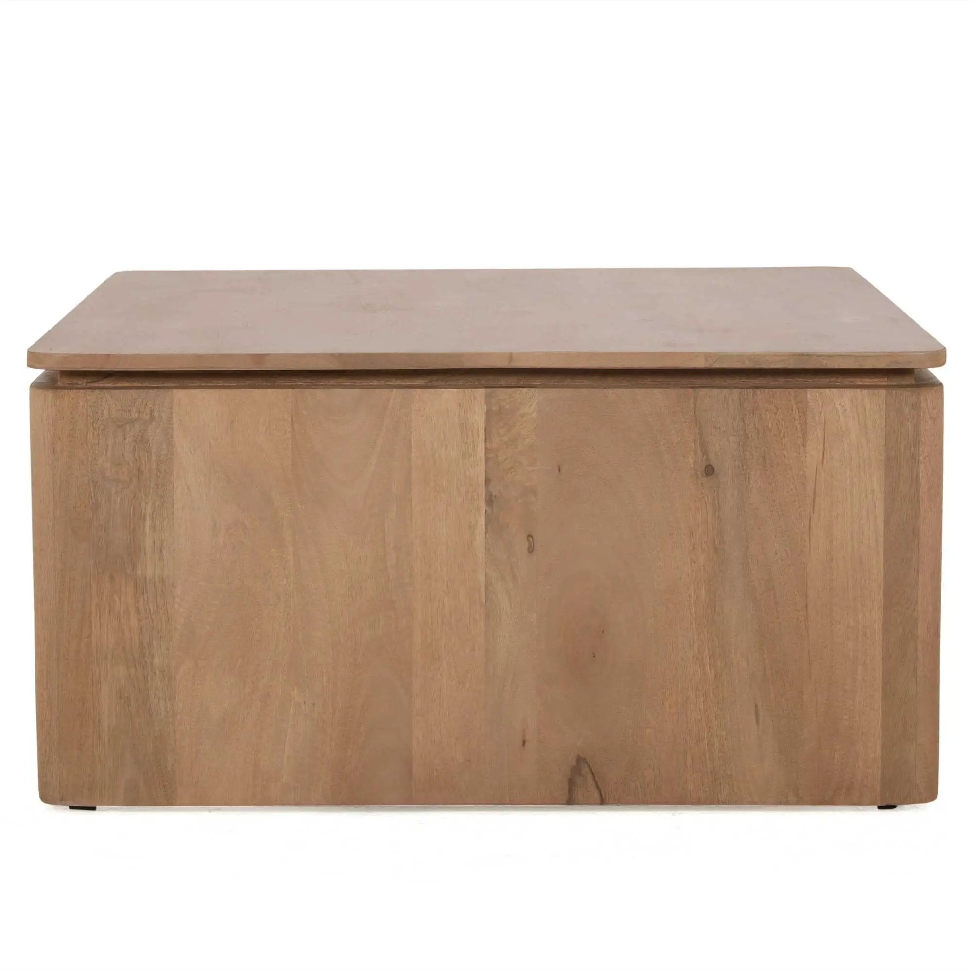 Vierkante Salontafel Dallas Naturel Mangohout 80 cm by depauwwonen