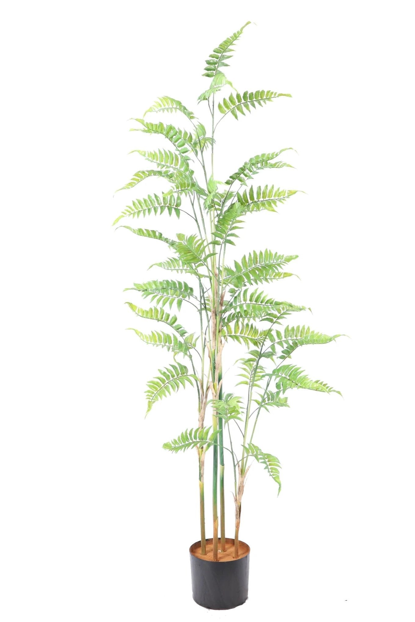 Kunstplant varen 130cm by NeverLeafs