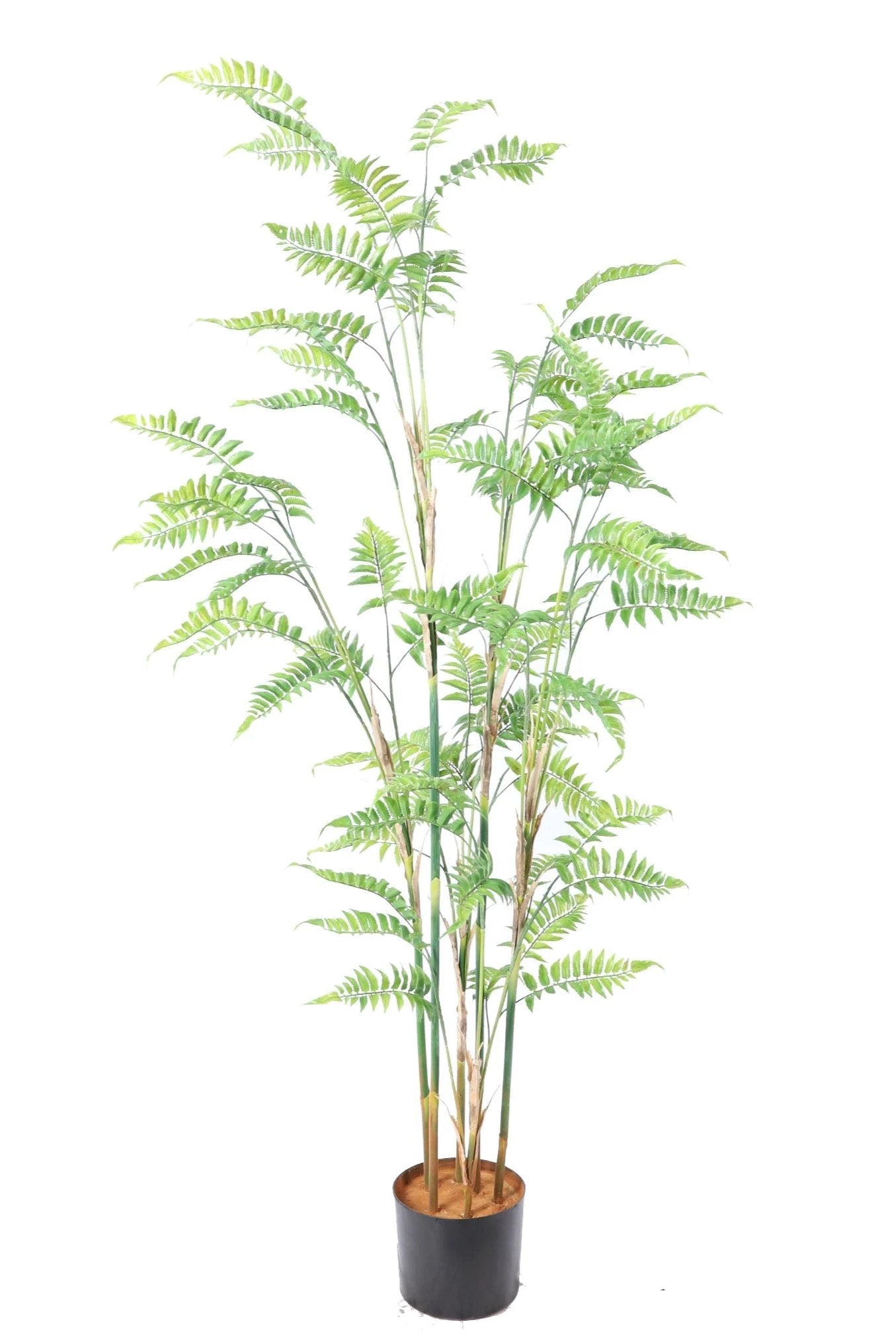 Kunstplant varen 160cm by NeverLeafs