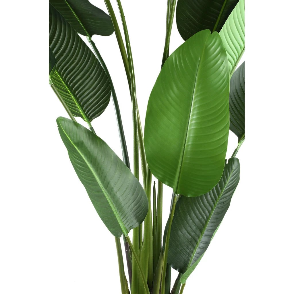 Kunstplant Groen Strelitzia XL by PTMD