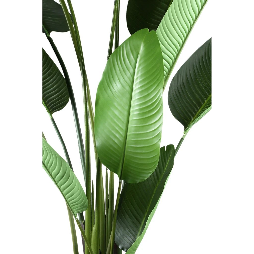 Kunstplant Groen Strelitzia L by PTMD