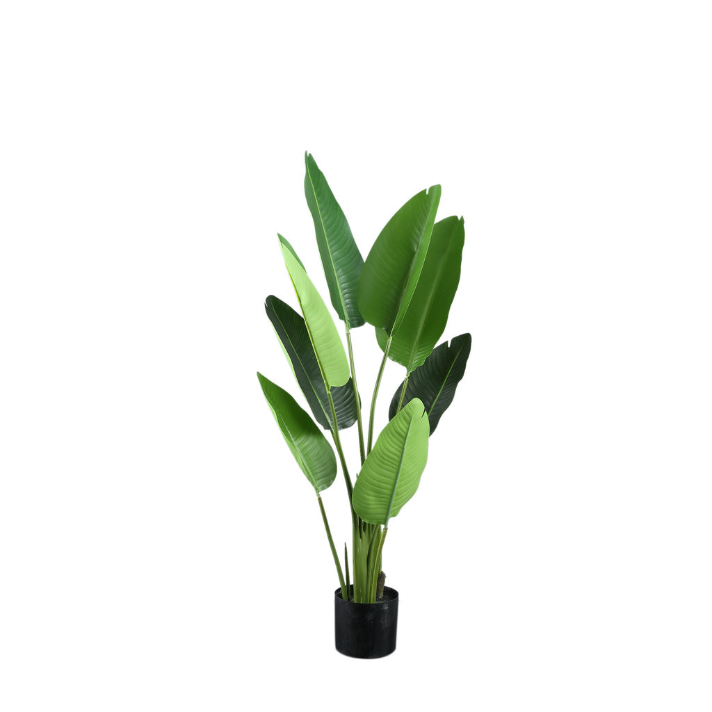 Kunstplant echte touch strelitzia - S - depauwwonen
