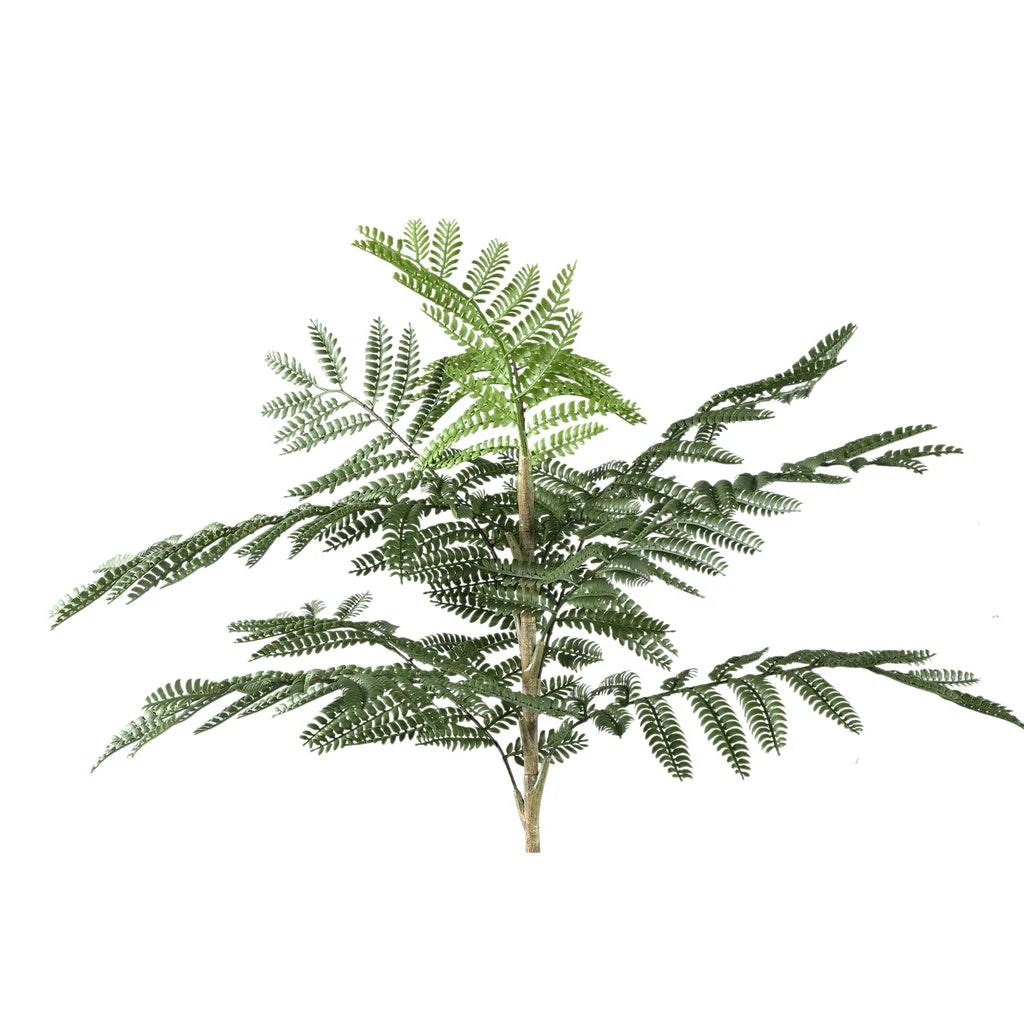 Kunst Jacaranda plant in pot by PTMD