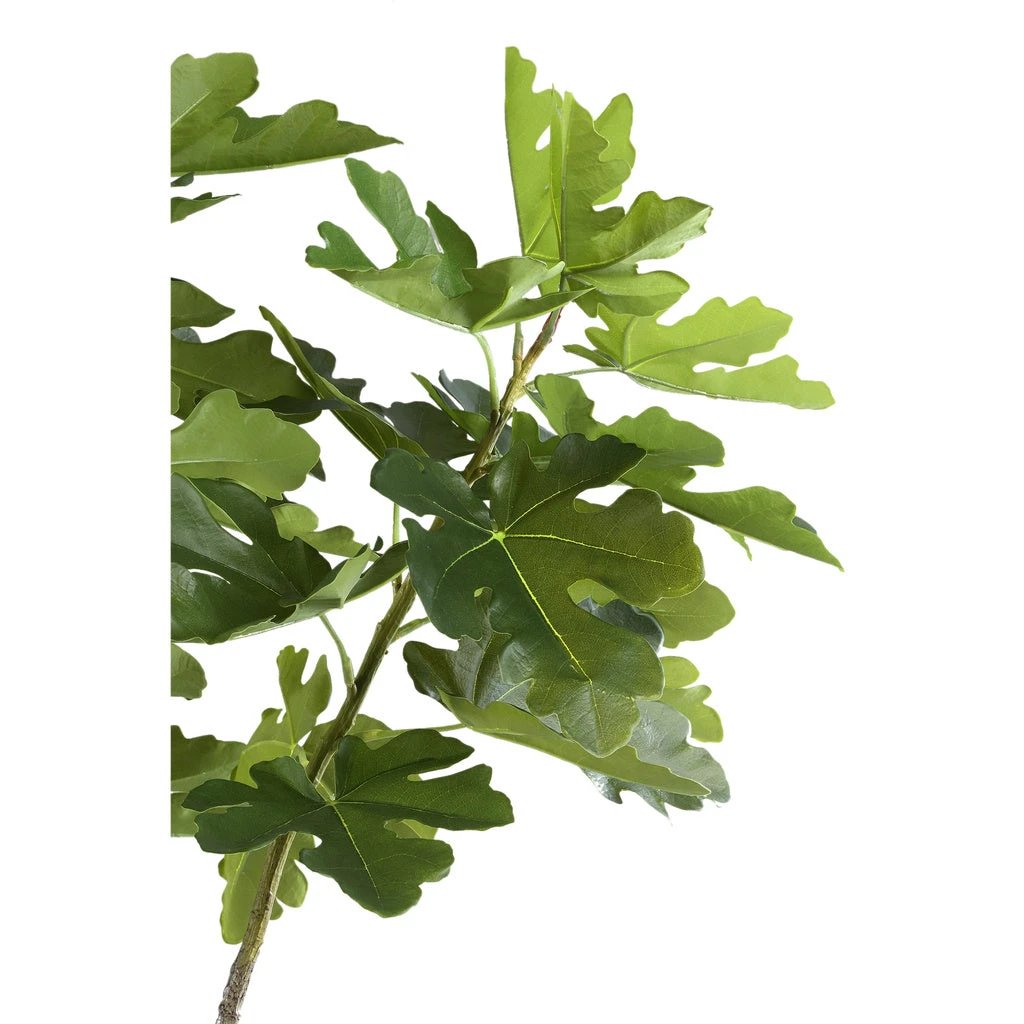 Kunst Groene vijgenboom in pot L by PTMD