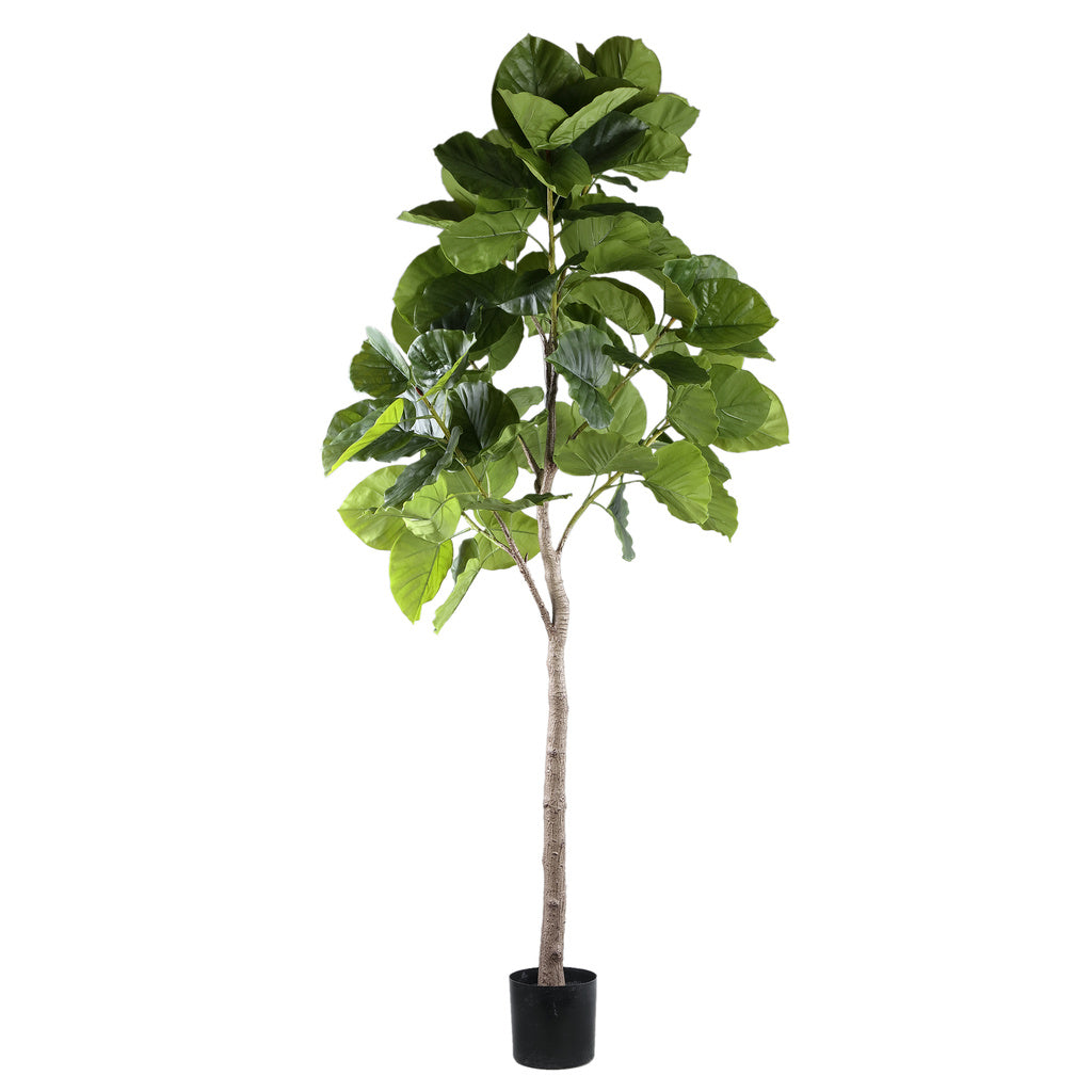 Kunst Ficus in pot L - depauwwonen