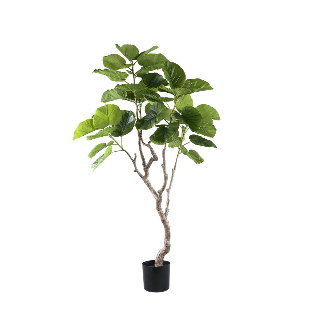Kunst Ficus in pot M - depauwwonen