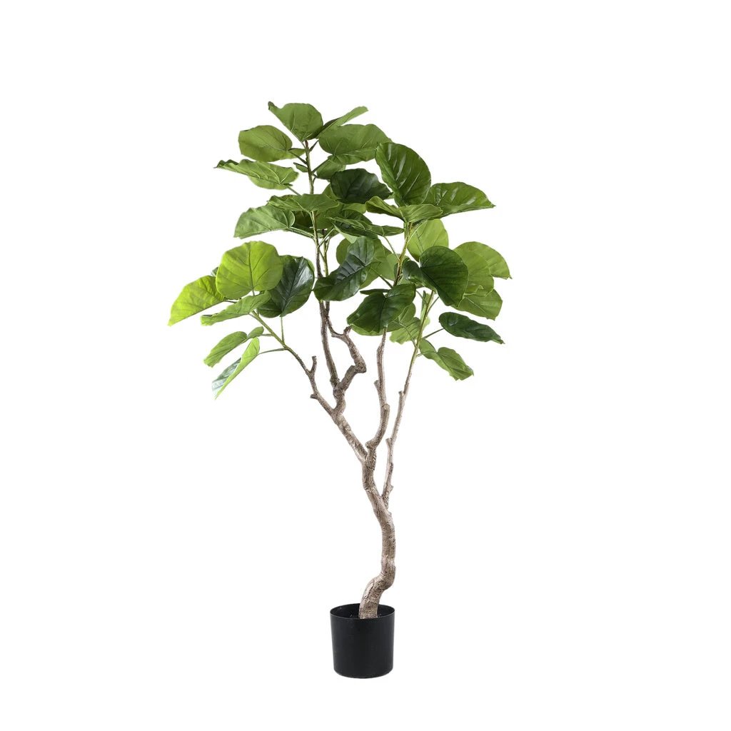 Kunst Ficus in pot M by PTMD