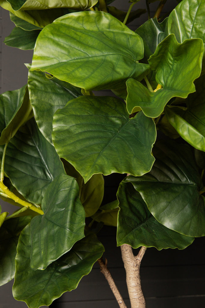 Kunst Ficus in pot M - depauwwonen