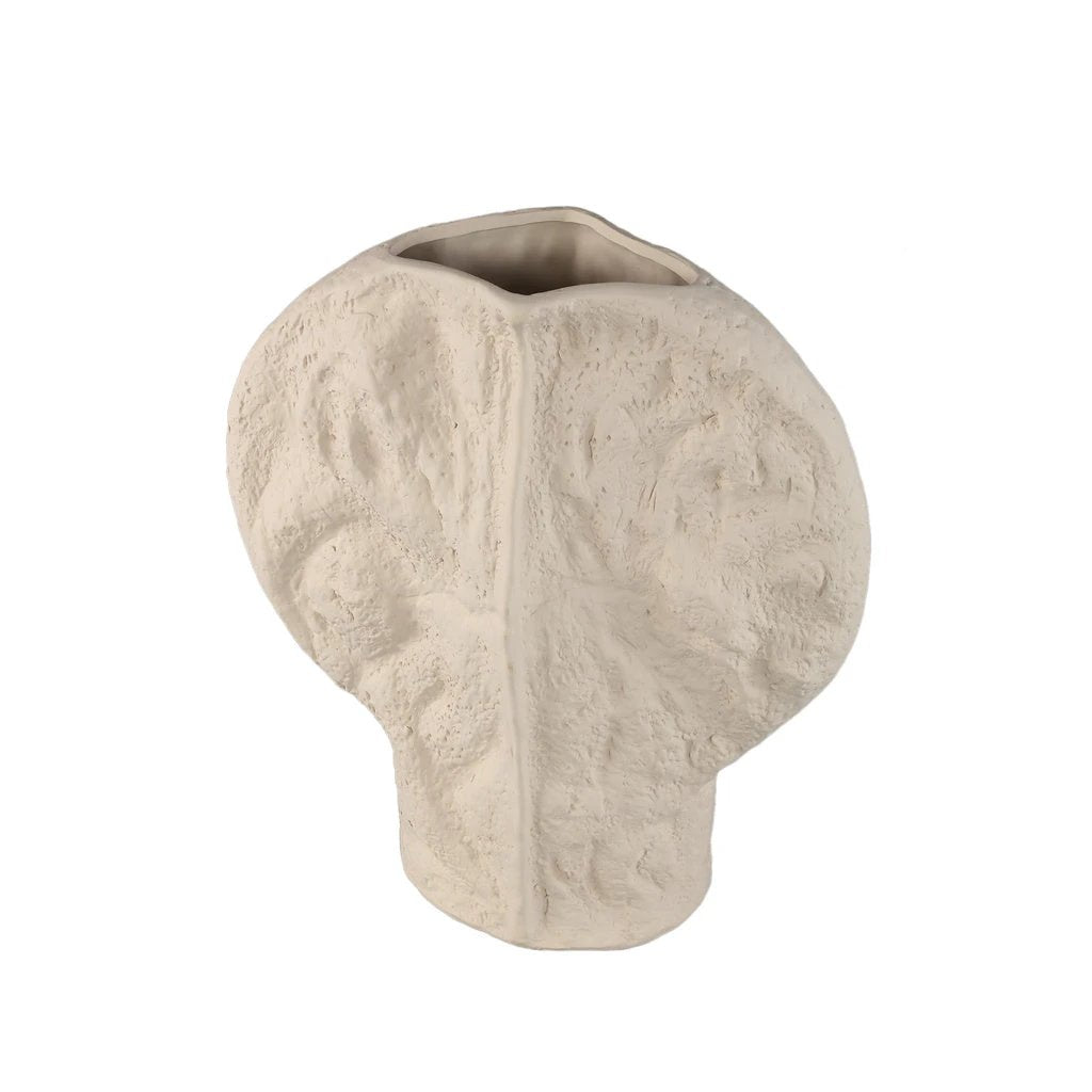 Linos Vaas L by PTMD