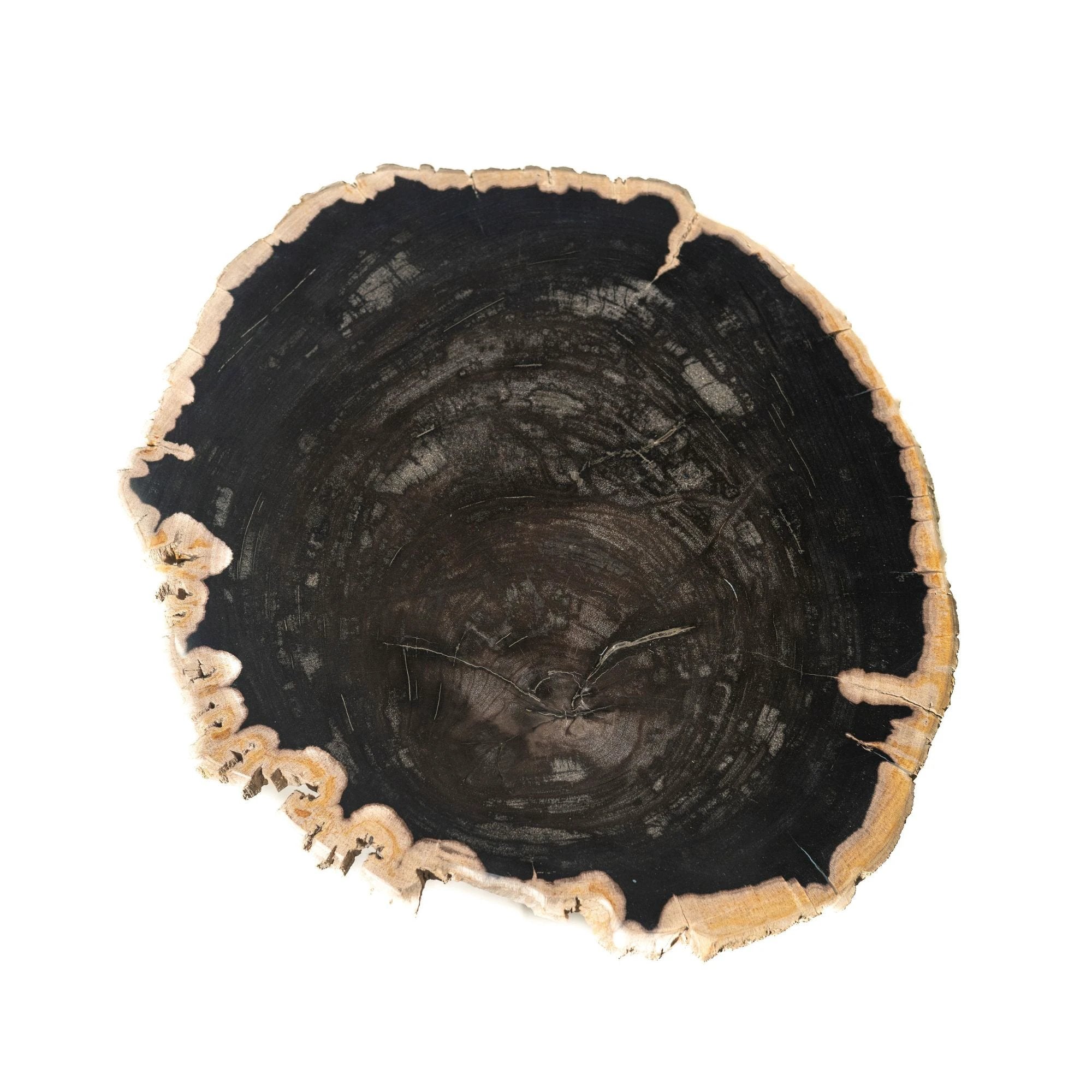 Jisse Zwarte Versteend Houten Bijzettafel by PTMD