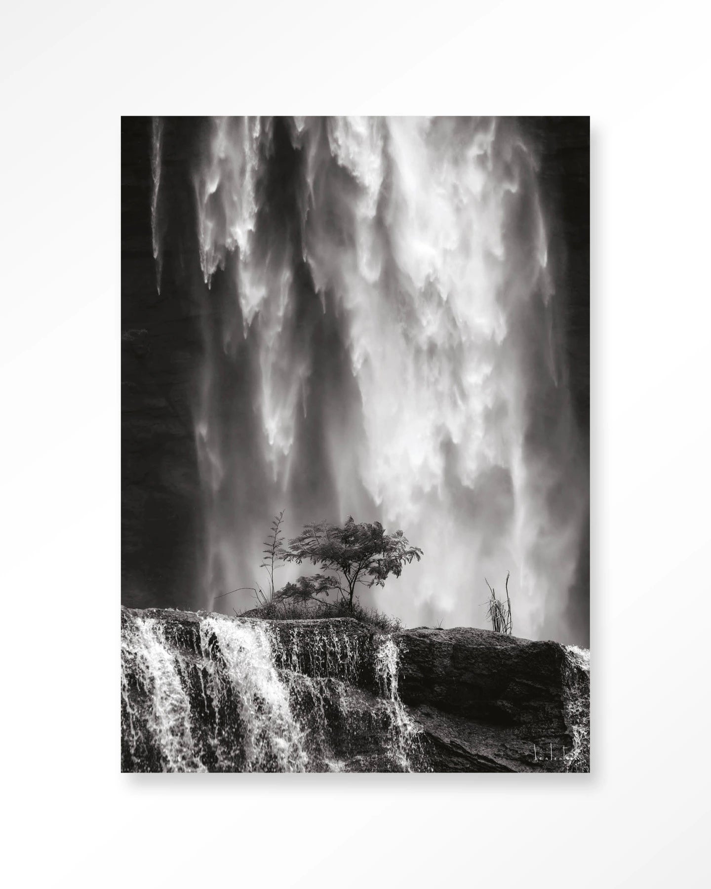 Germinate - depauwwonen