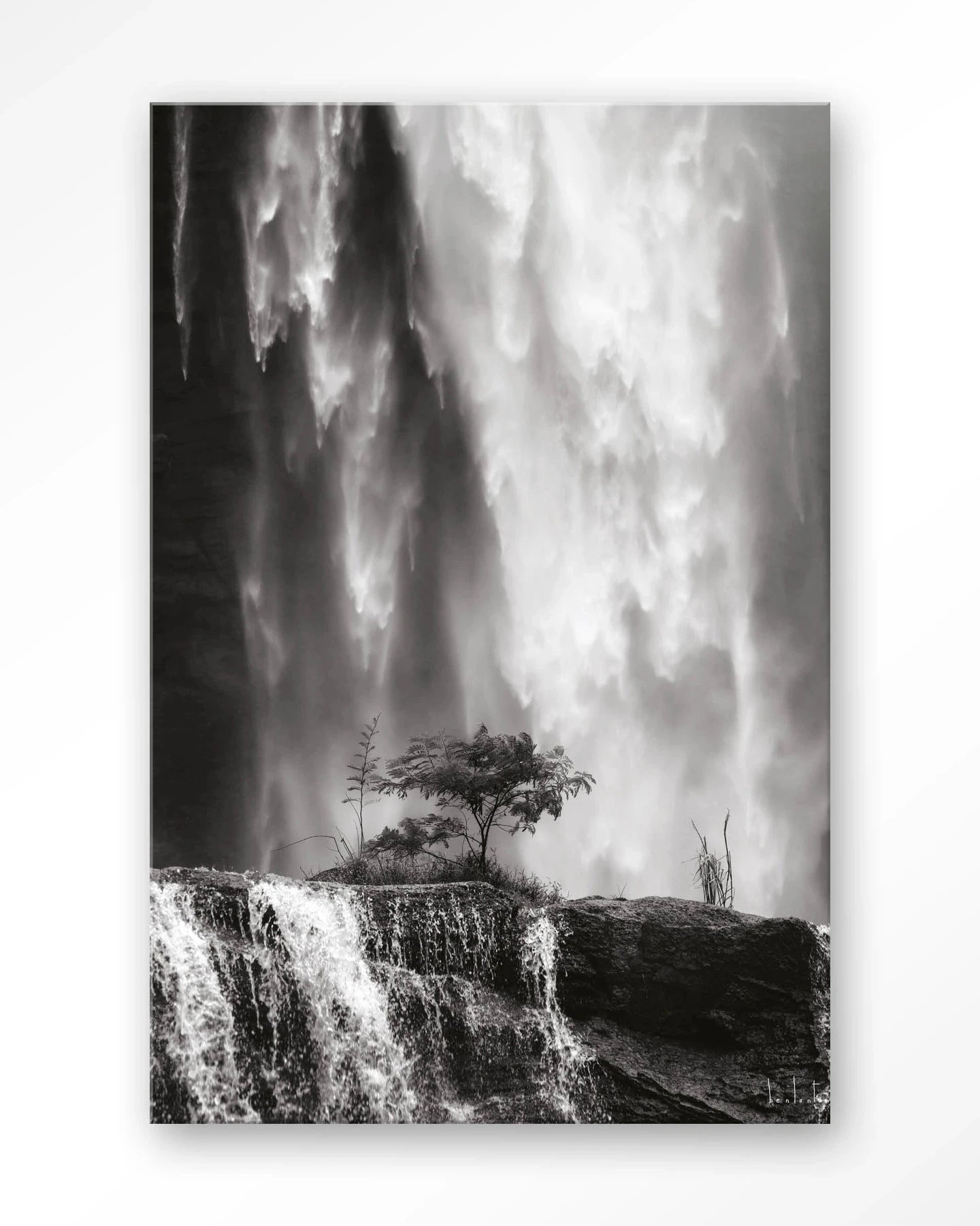 Germinate - Moderne Wanddecoratie | Artprint, Glass Art & Wandkleed by Urban Cotton