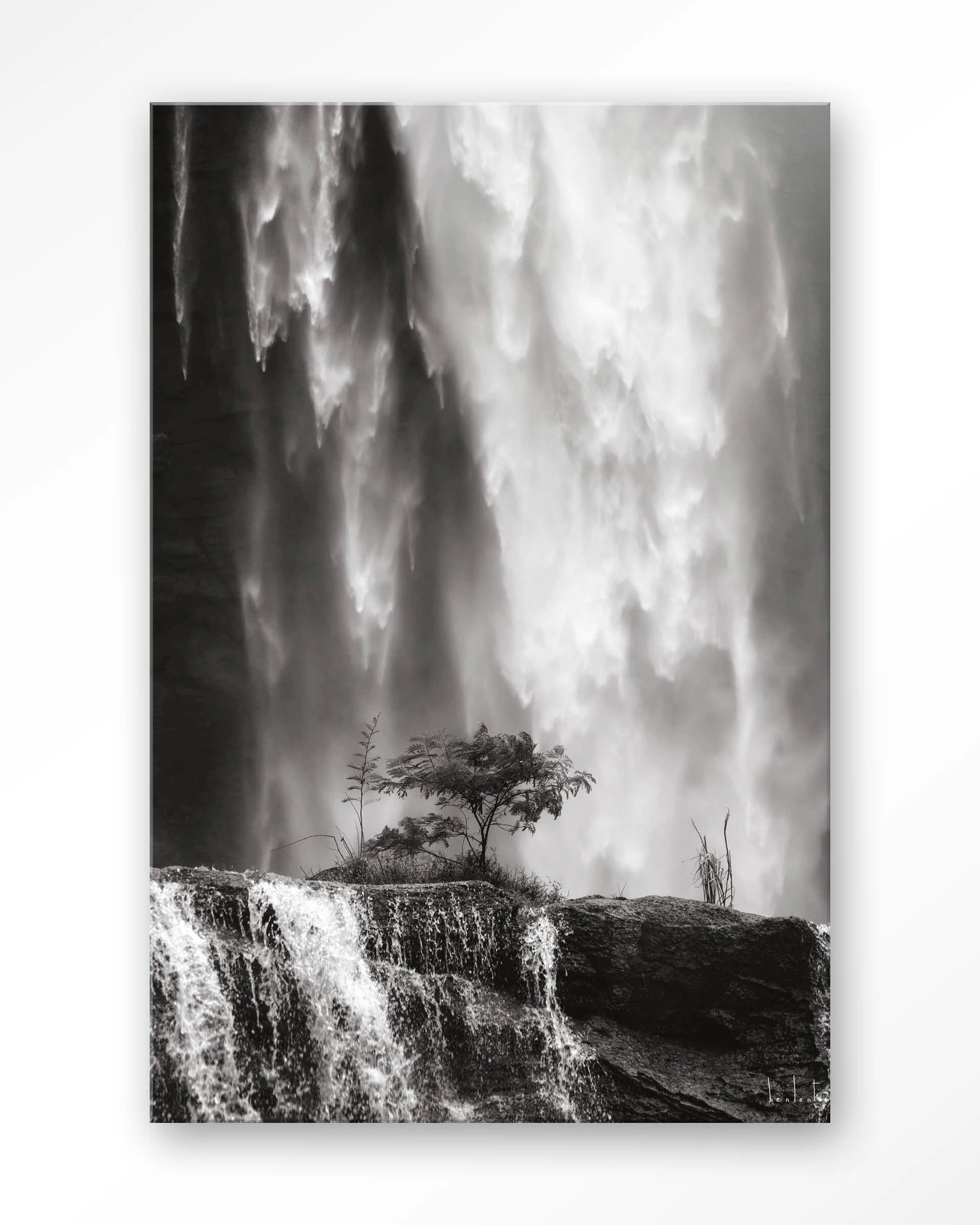 Germinate - depauwwonen