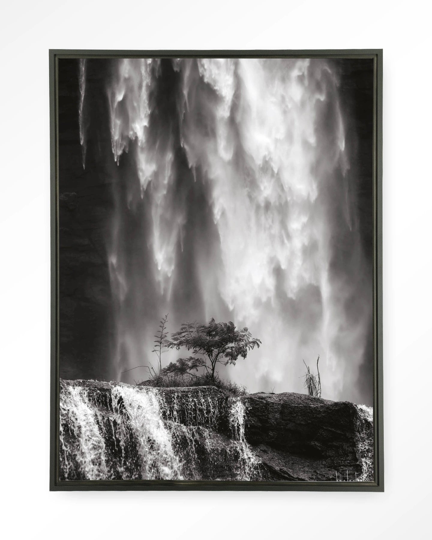 Germinate - depauwwonen