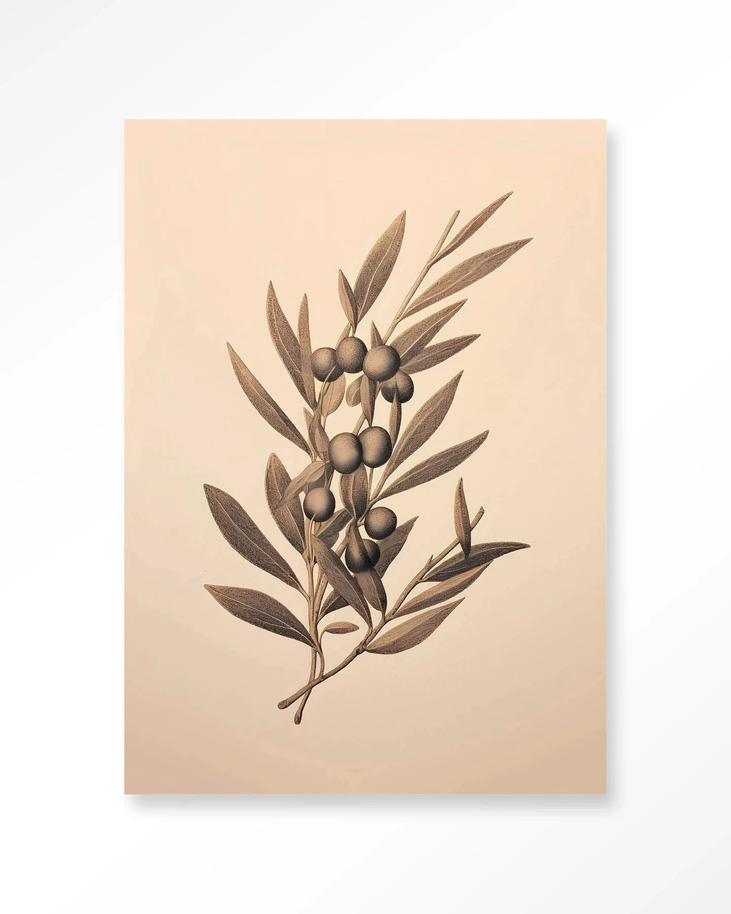 Moderne Oliva kunstprint van Urban Cotton, glas art en wandkleed voor stijlvolle muurdecoratie in huis