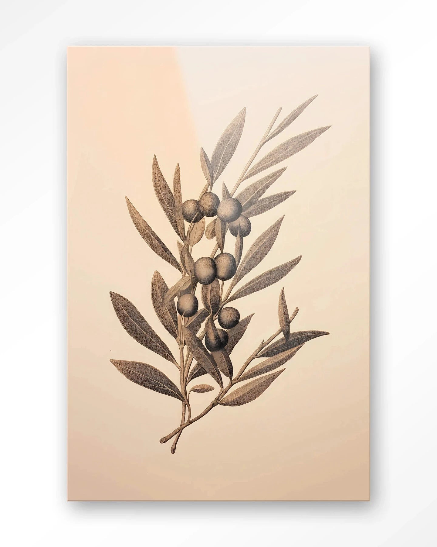 Moderne Oliva kunstprint van Urban Cotton, glaswanddecoratie met kleurrijke olijftakken en abstracte details.