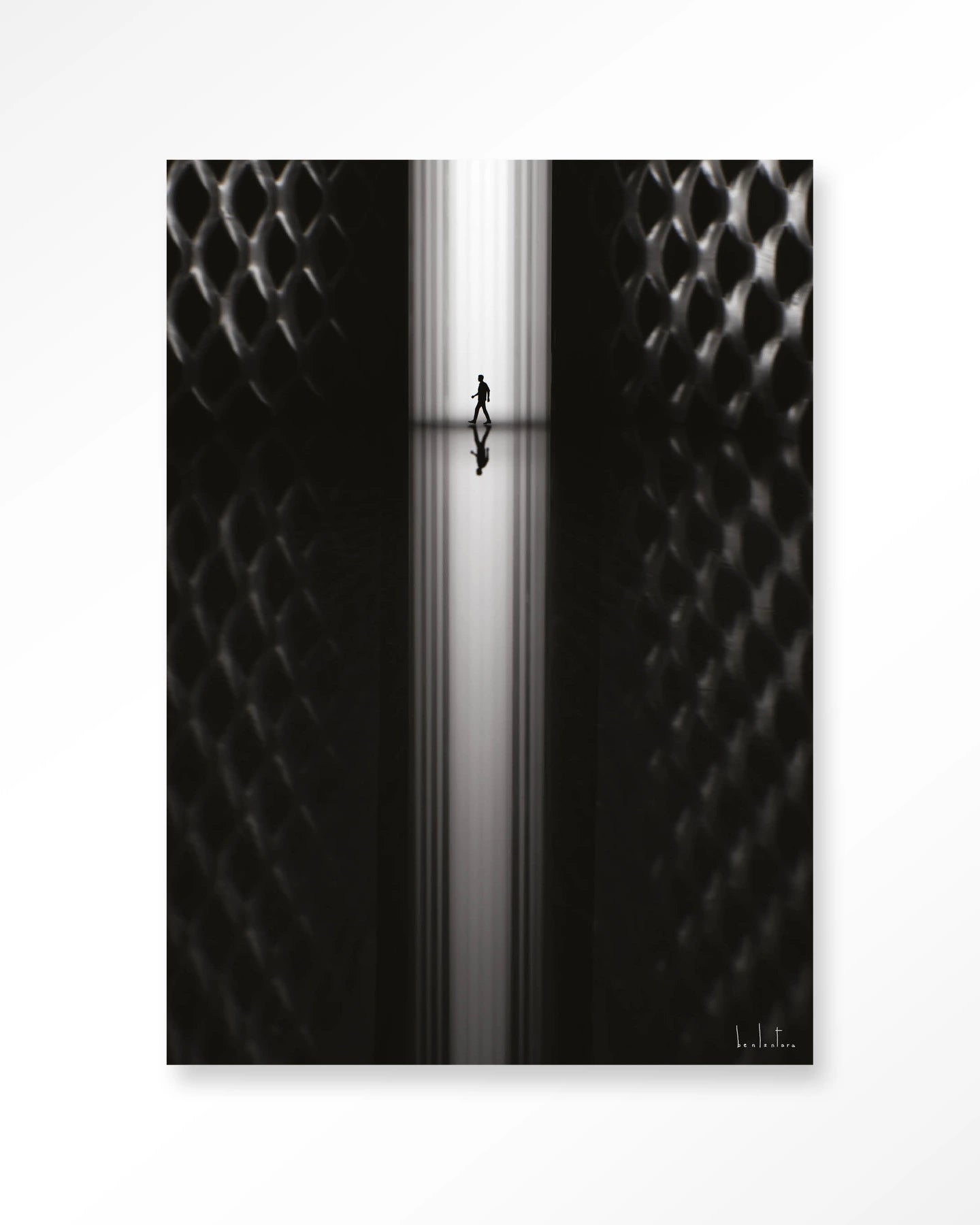 Passing - depauwwonen