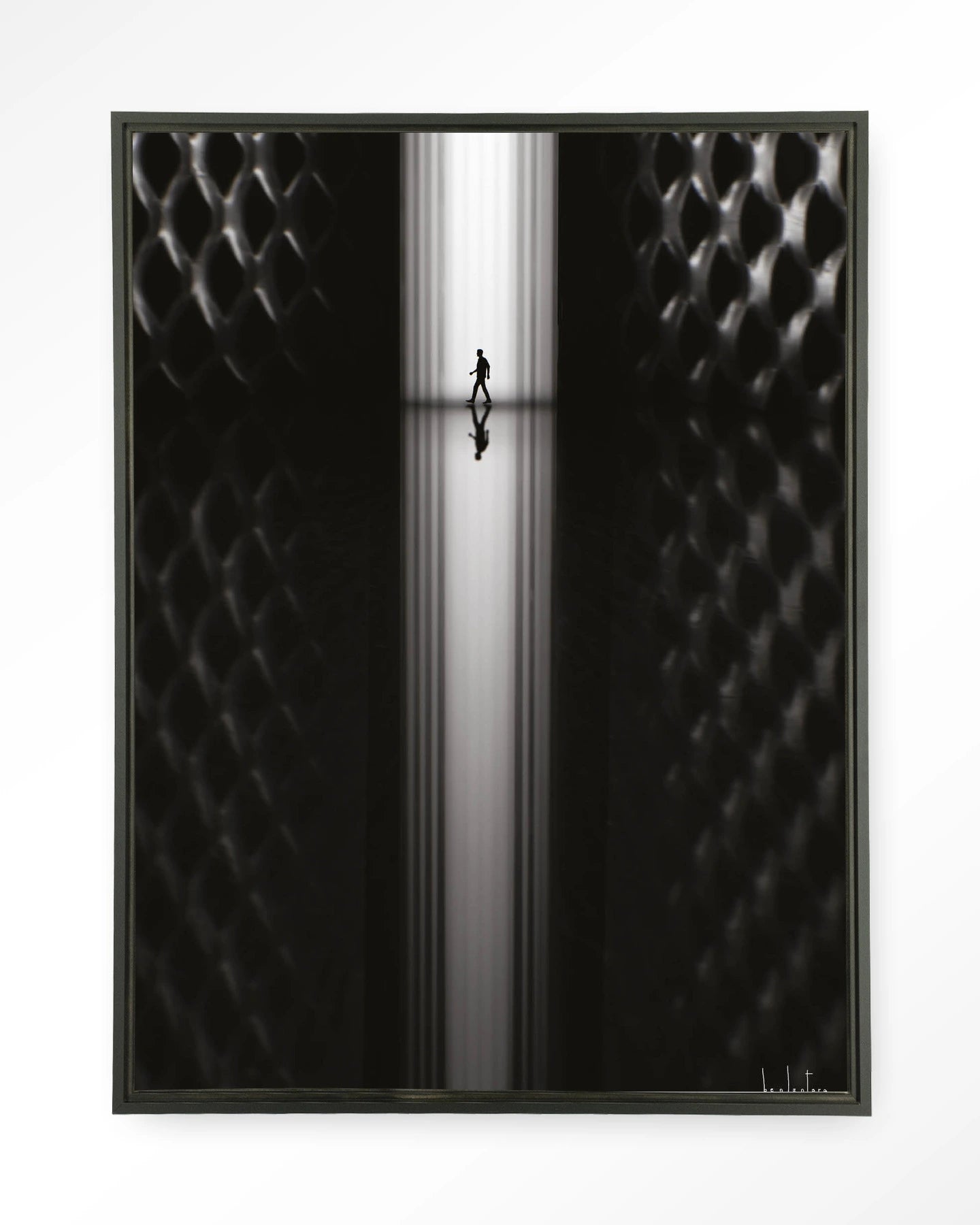 Passing - depauwwonen