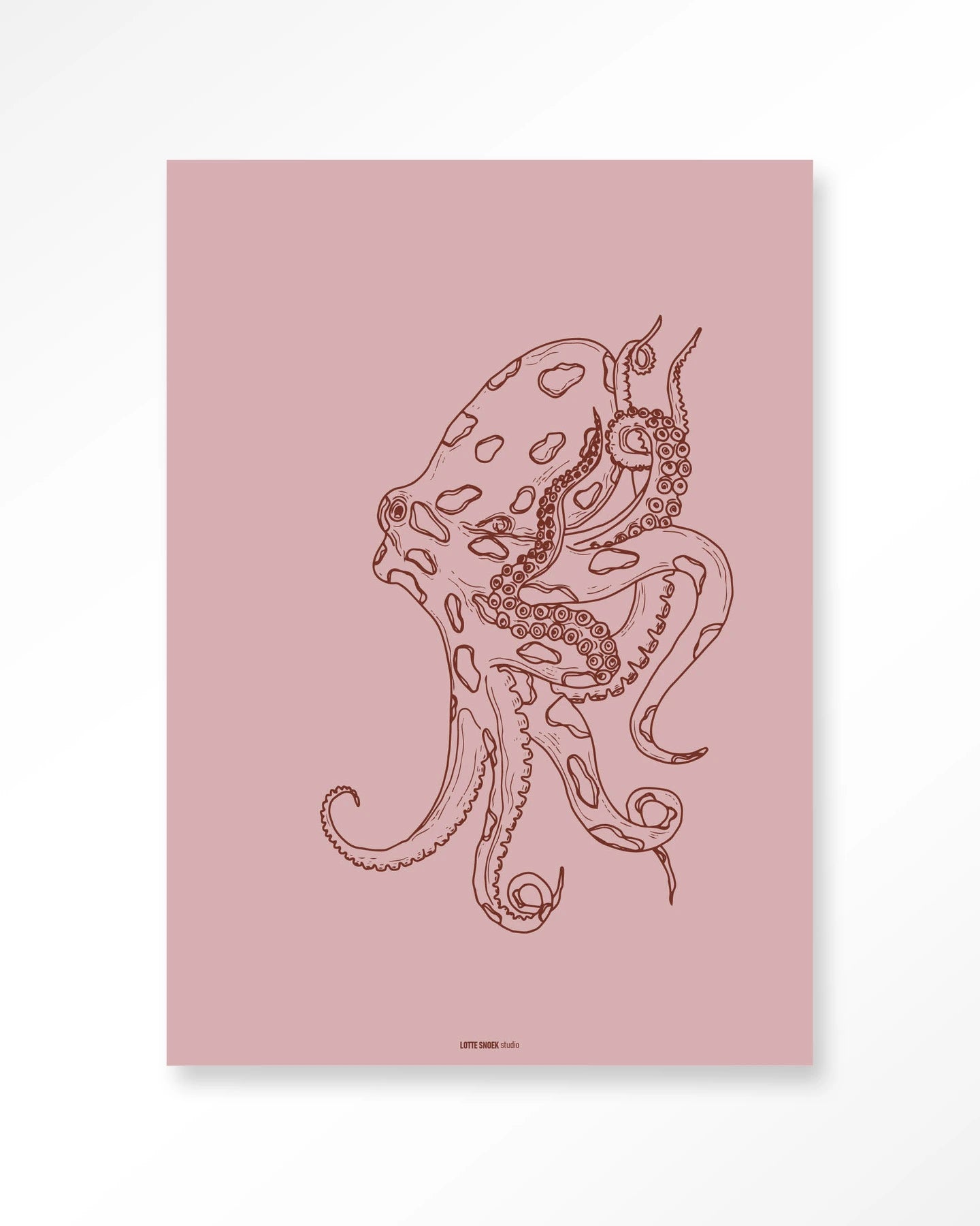 Polypus - depauwwonen