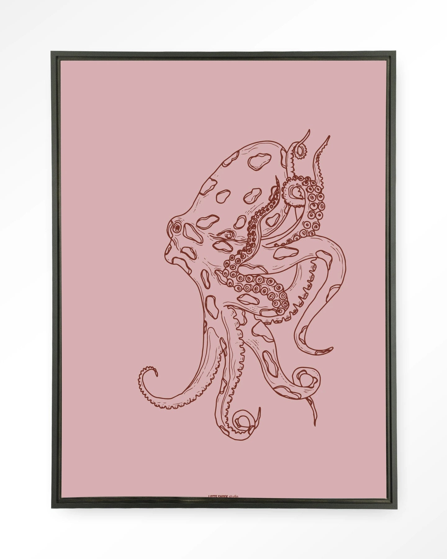 Polypus - depauwwonen