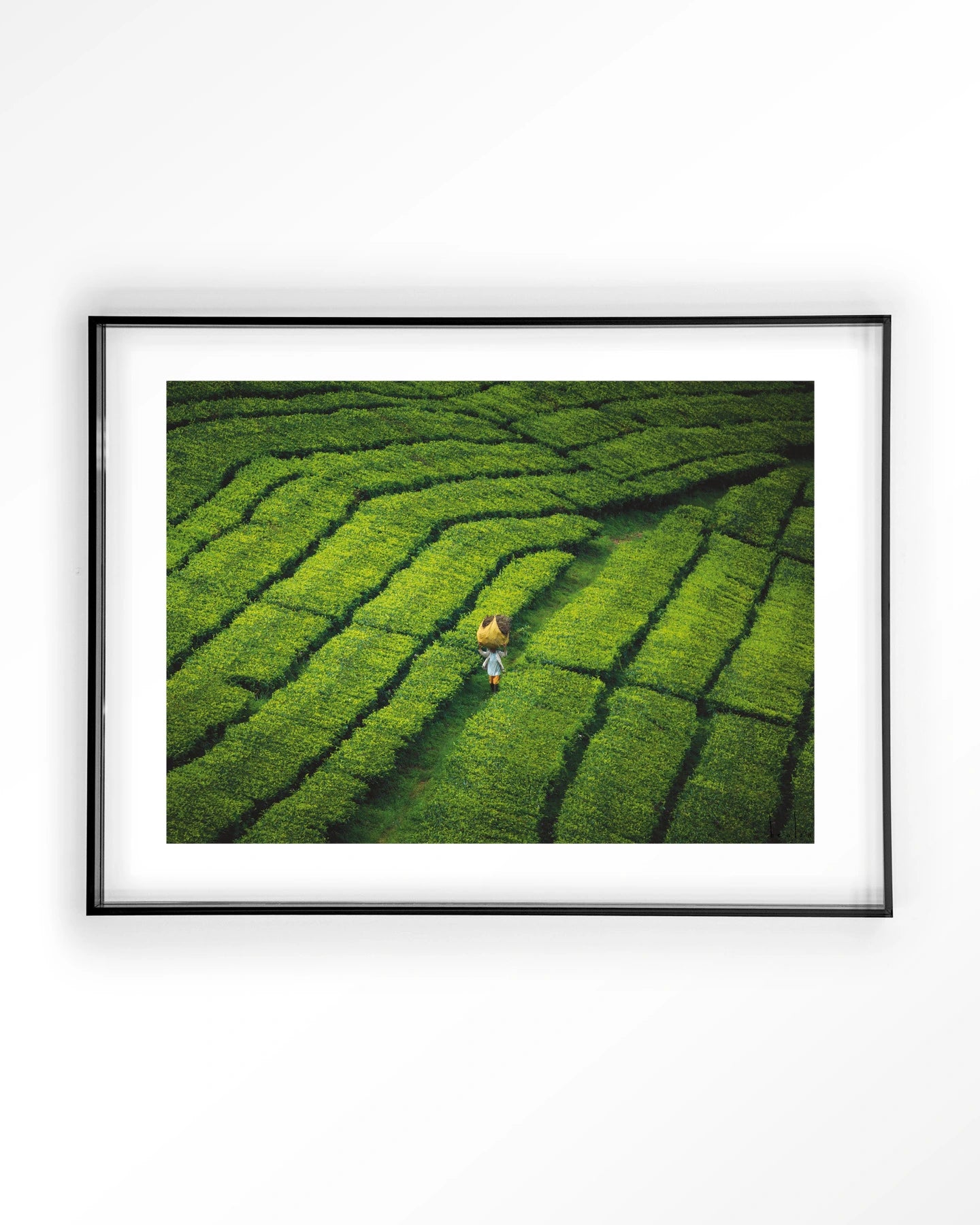 Tote pengalengan - depauwwonen