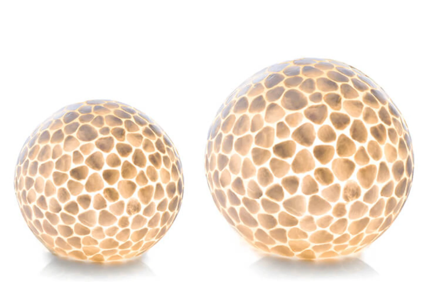 Tafellamp Turtle Ball Wit - in twee maten by VillaFlor