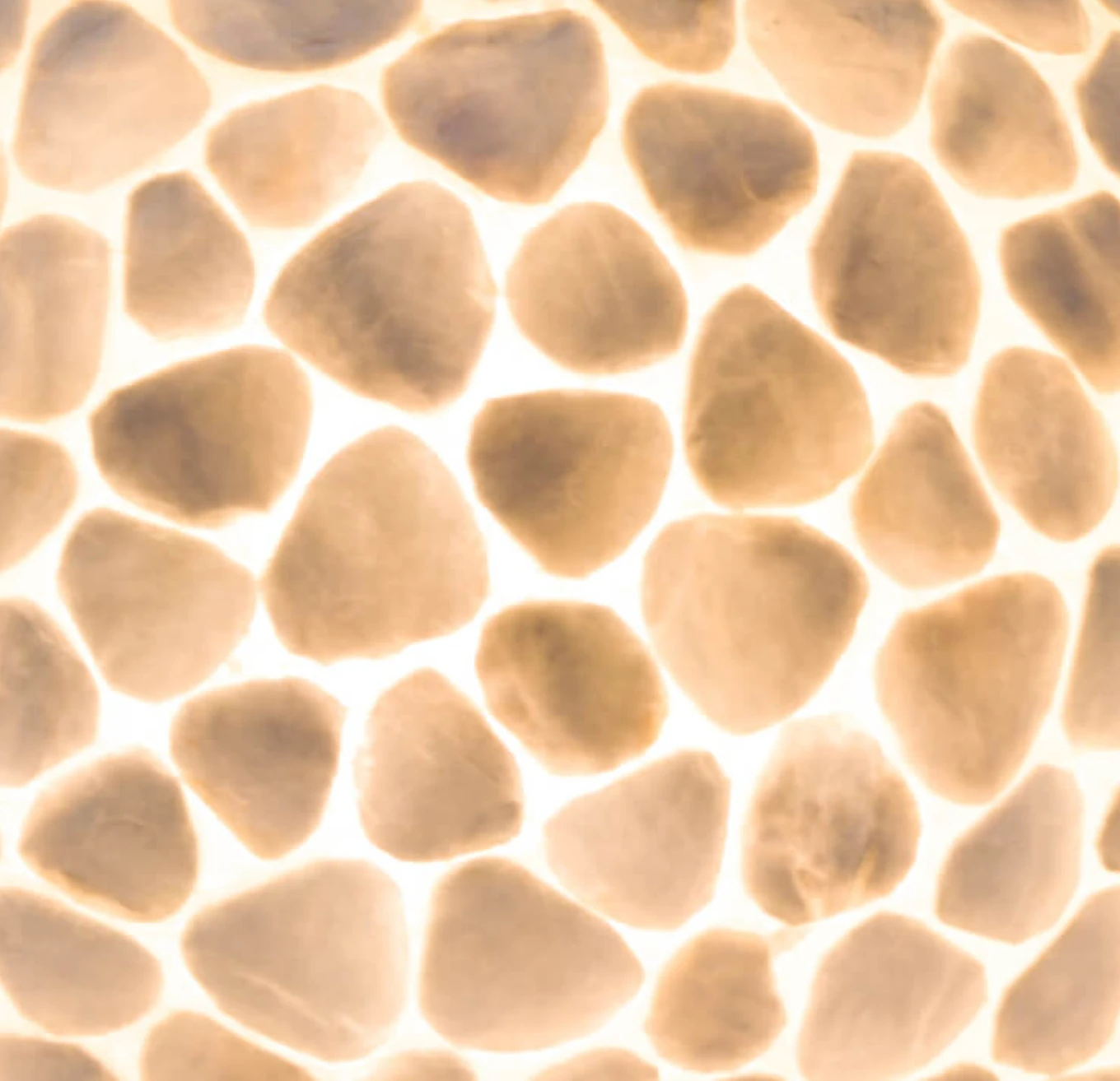 Tafellamp Turtle Ball Wit - in twee maten by VillaFlor