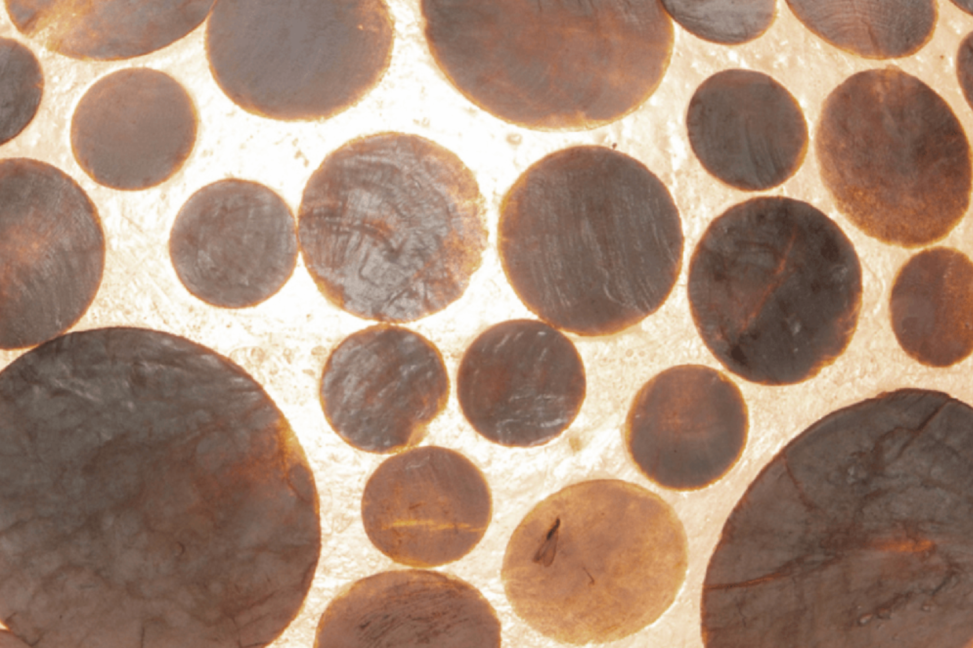 Tafellamp Coin Gold Donut - depauwwonen