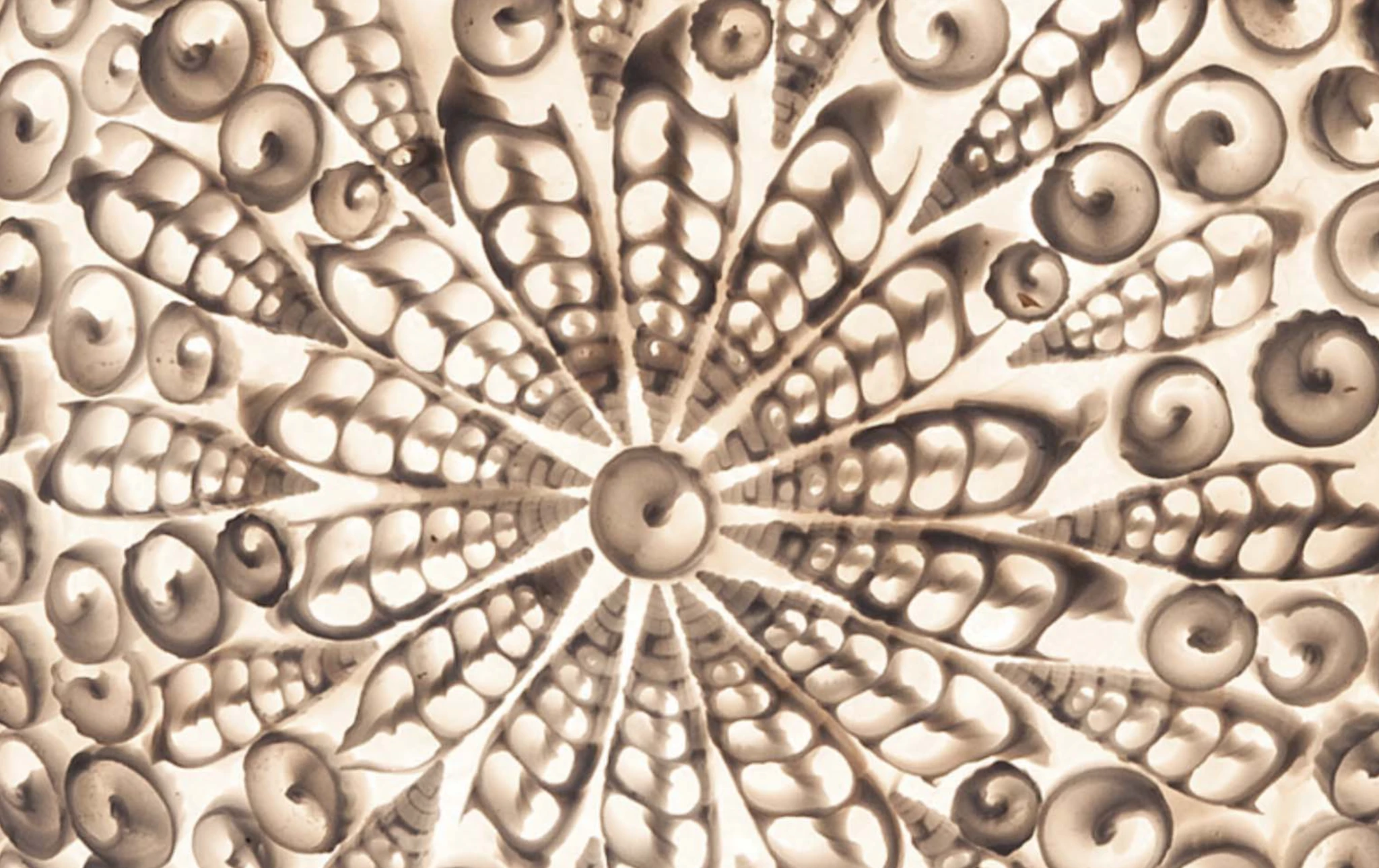 Tafellamp Dili Donut by VillaFlor