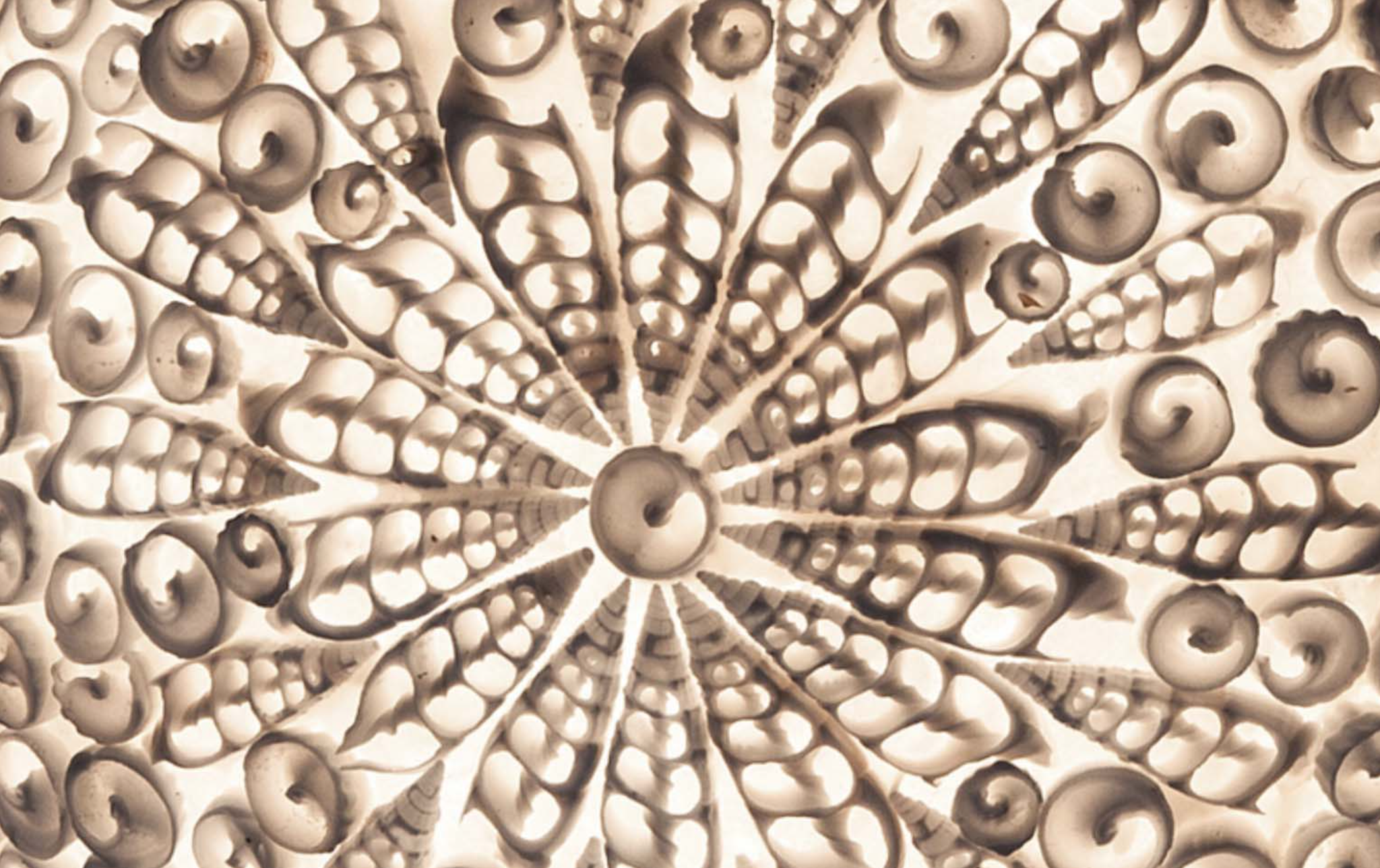 Tafellamp Dili Ball - depauwwonen