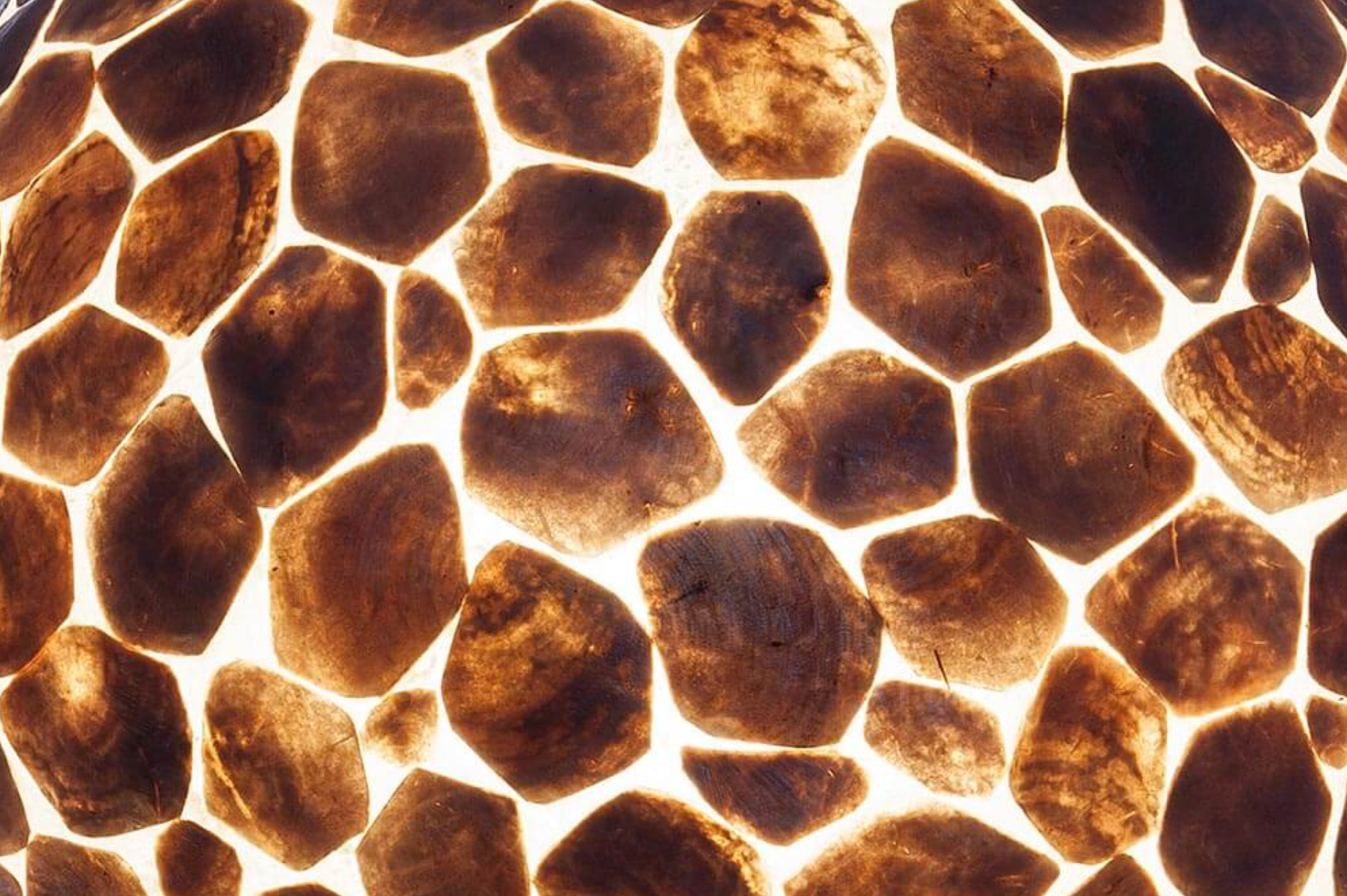 Tafellamp Turtle Six - depauwwonen