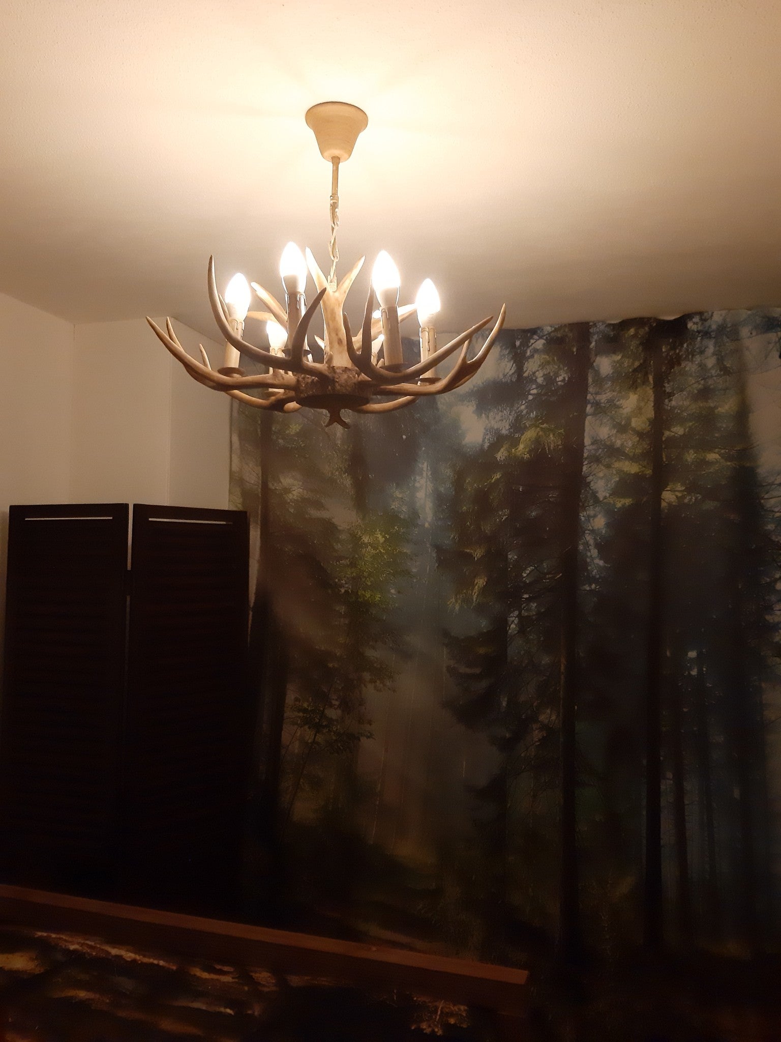 Kroonluchter Ree Gewei | 6 lichts by Wild'nChic