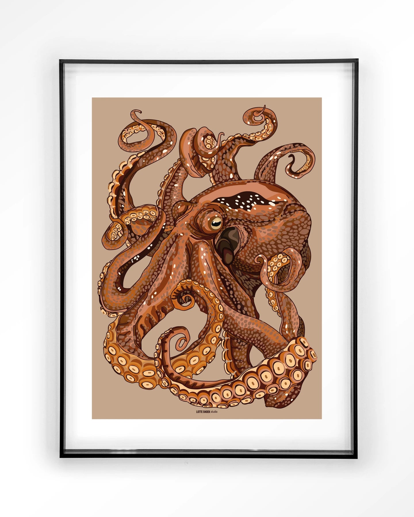 Pulpo