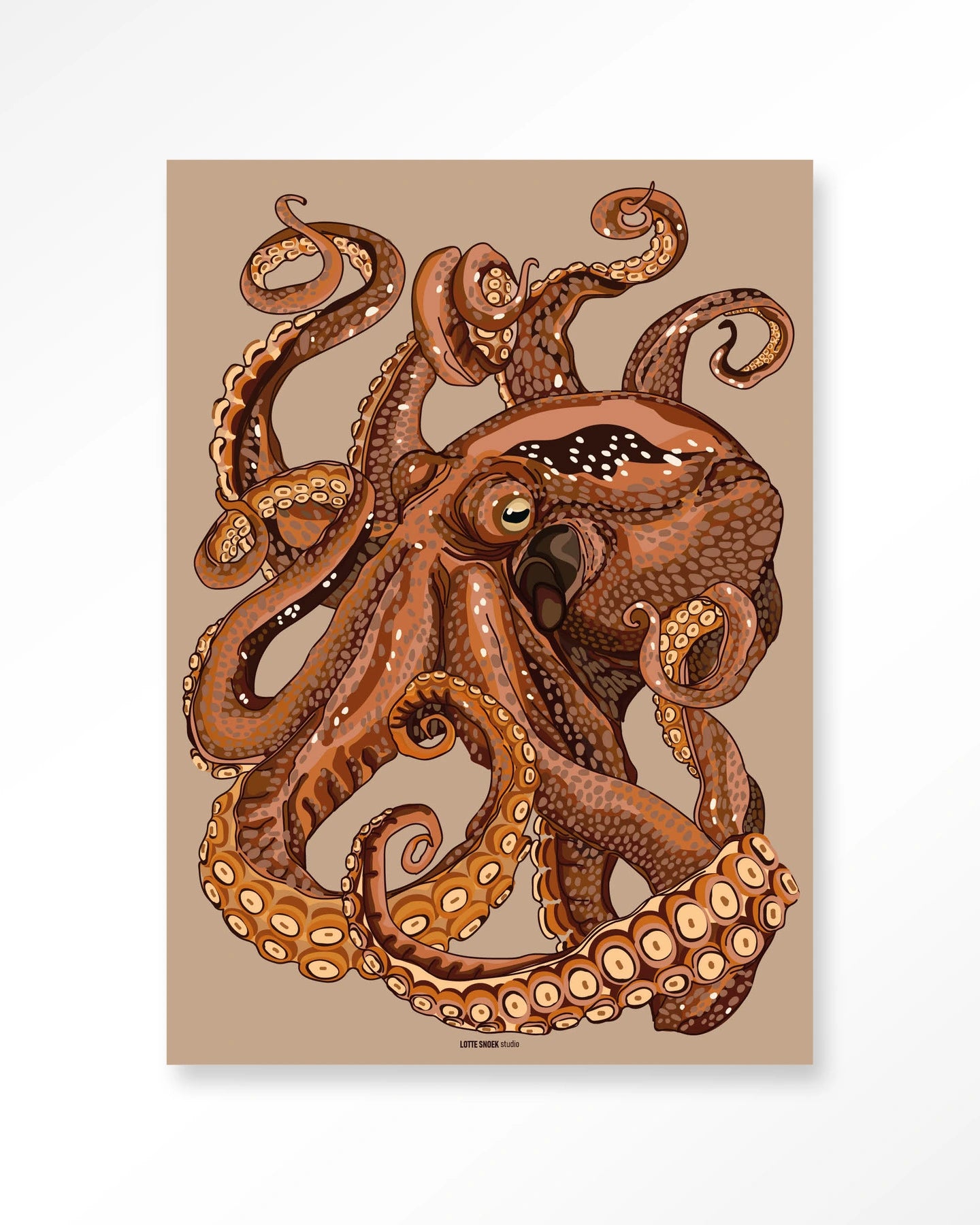 Pulpo
