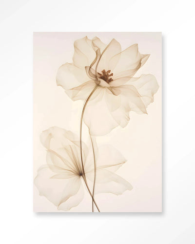 White Flowers - Moderne Wanddecoratie | Artprint, Glass Art & Wandkleed by Urban Cotton