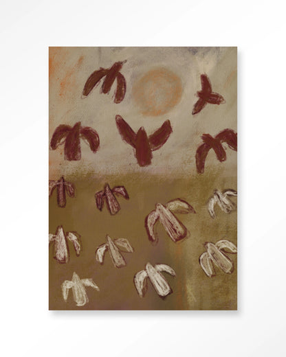 Sunbirds - depauwwonen