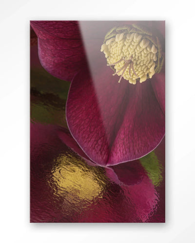 Weerspiegeling Van Een Kerstroos - Moderne Wanddecoratie | Artprint, Glass Art & Wandkleed by Urban Cotton