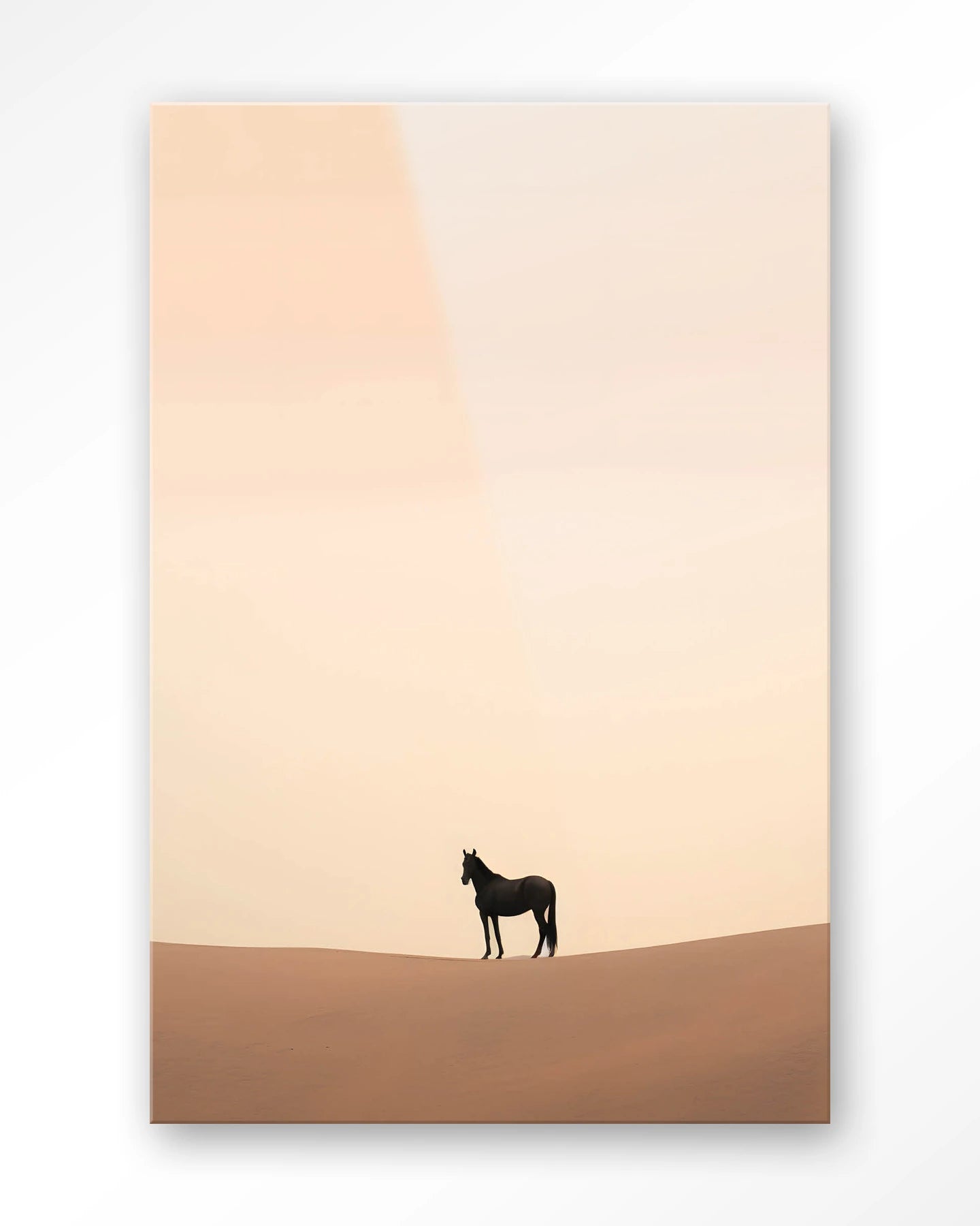 Desert Horse