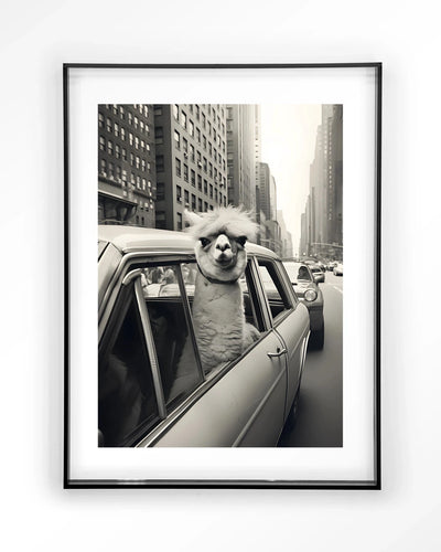 Alpaca In NY - Moderne Wanddecoratie | Artprint, Glass Art & Wandkleed by Urban Cotton