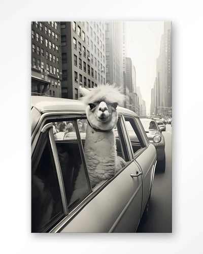 Alpaca In NY - Moderne Wanddecoratie | Artprint, Glass Art & Wandkleed by Urban Cotton