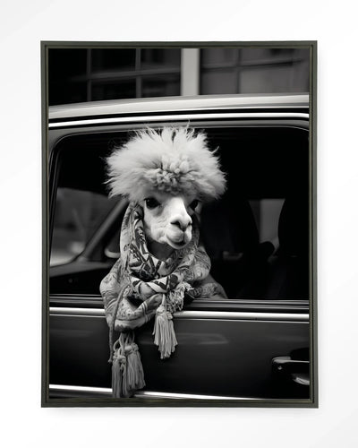 Alpaca In Taxi - Moderne Wanddecoratie | Artprint, Glass Art & Wandkleed by Urban Cotton