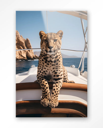 Sailboat Cheetah