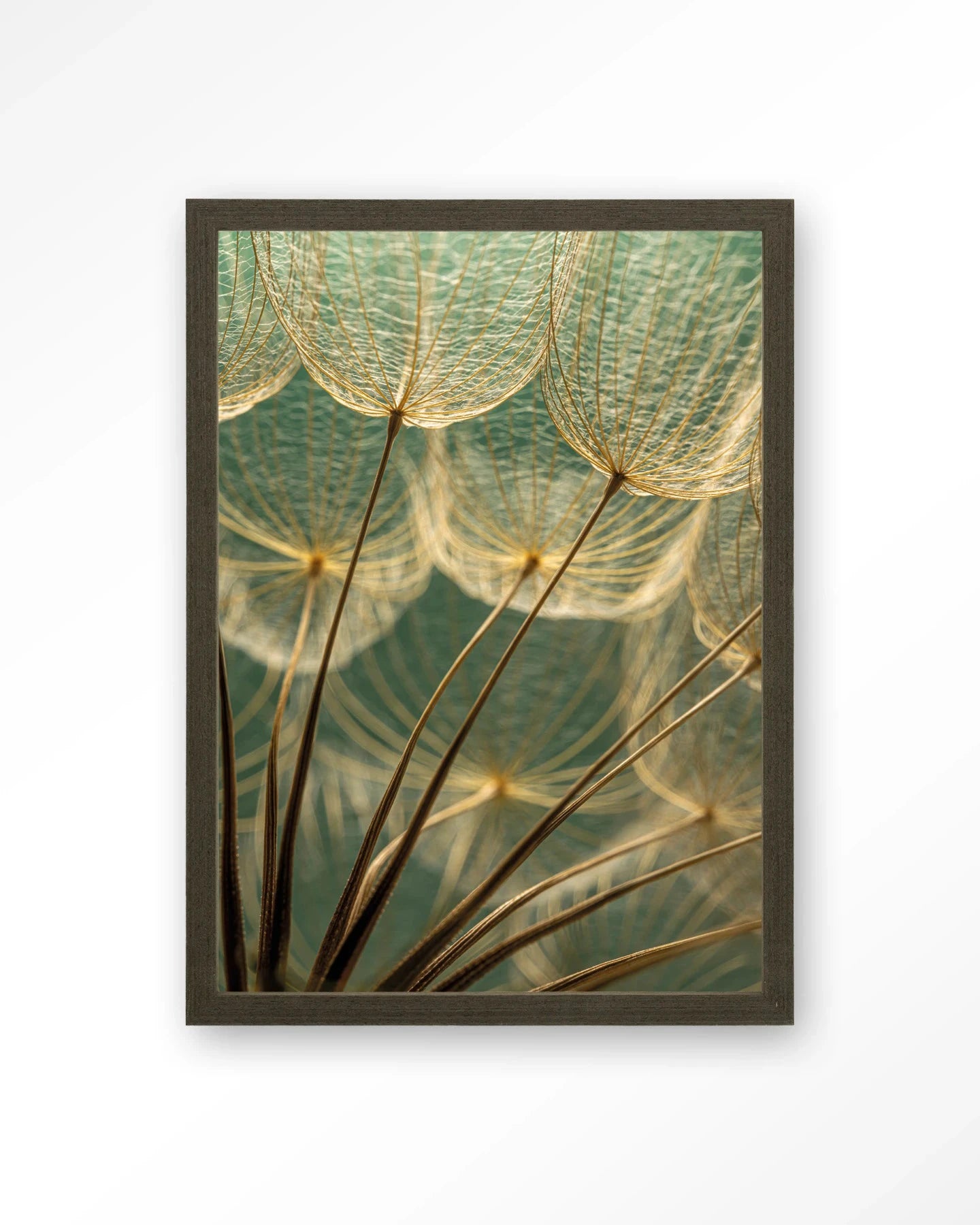 Van Abstractie Tot Detail - Moderne Wanddecoratie | Artprint, Glass Art, Wandkleed by Urban Cotton