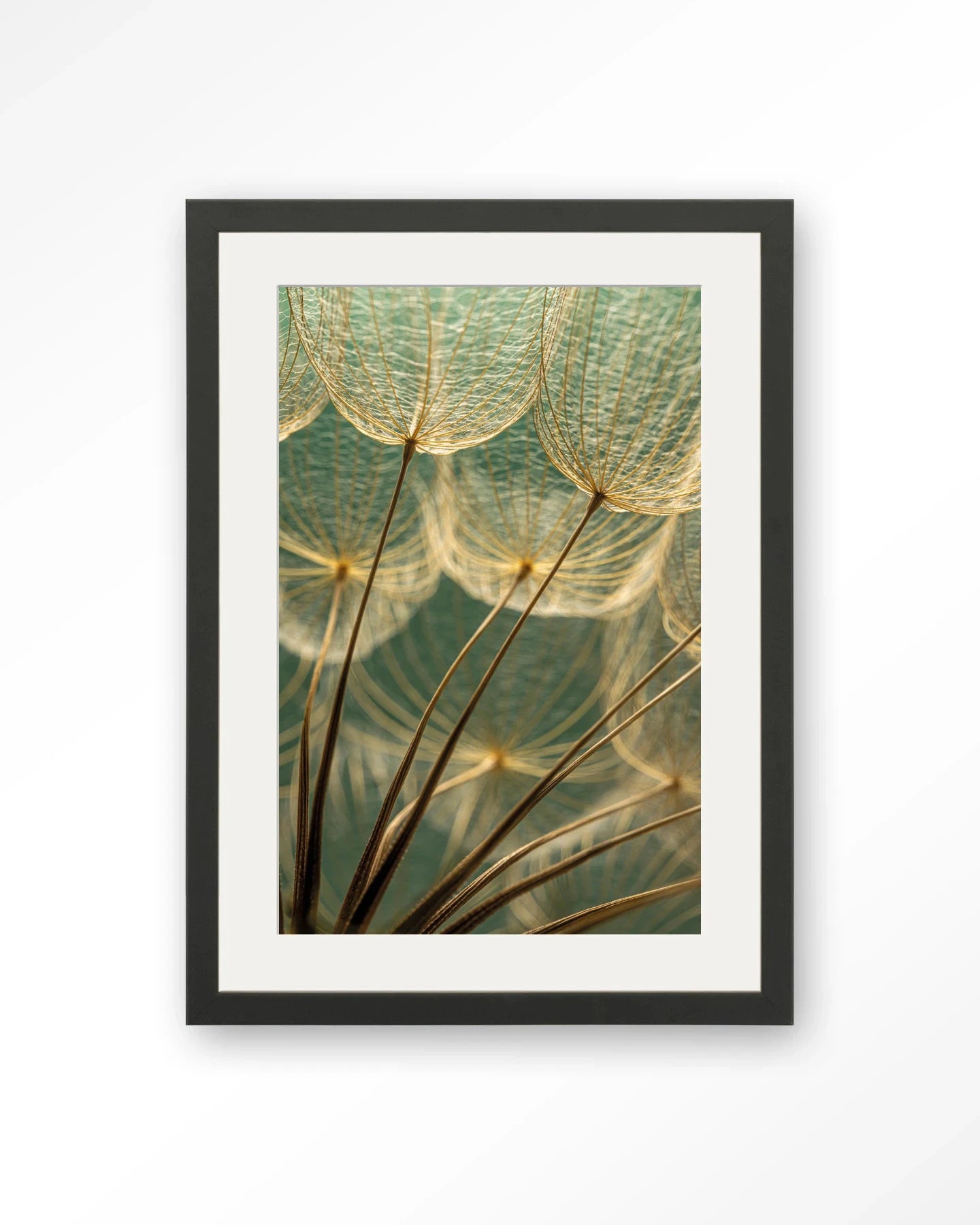 Van Abstractie Tot Detail - Moderne Wanddecoratie | Artprint, Glass Art, Wandkleed by Urban Cotton