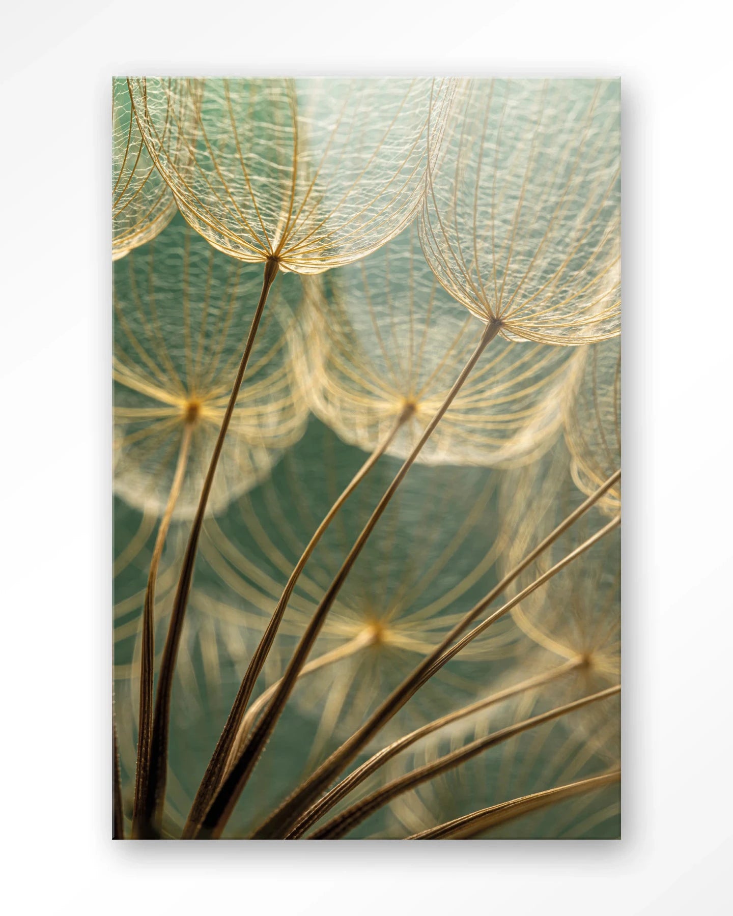 Van Abstractie Tot Detail - Moderne Wanddecoratie | Artprint, Glass Art, Wandkleed by Urban Cotton