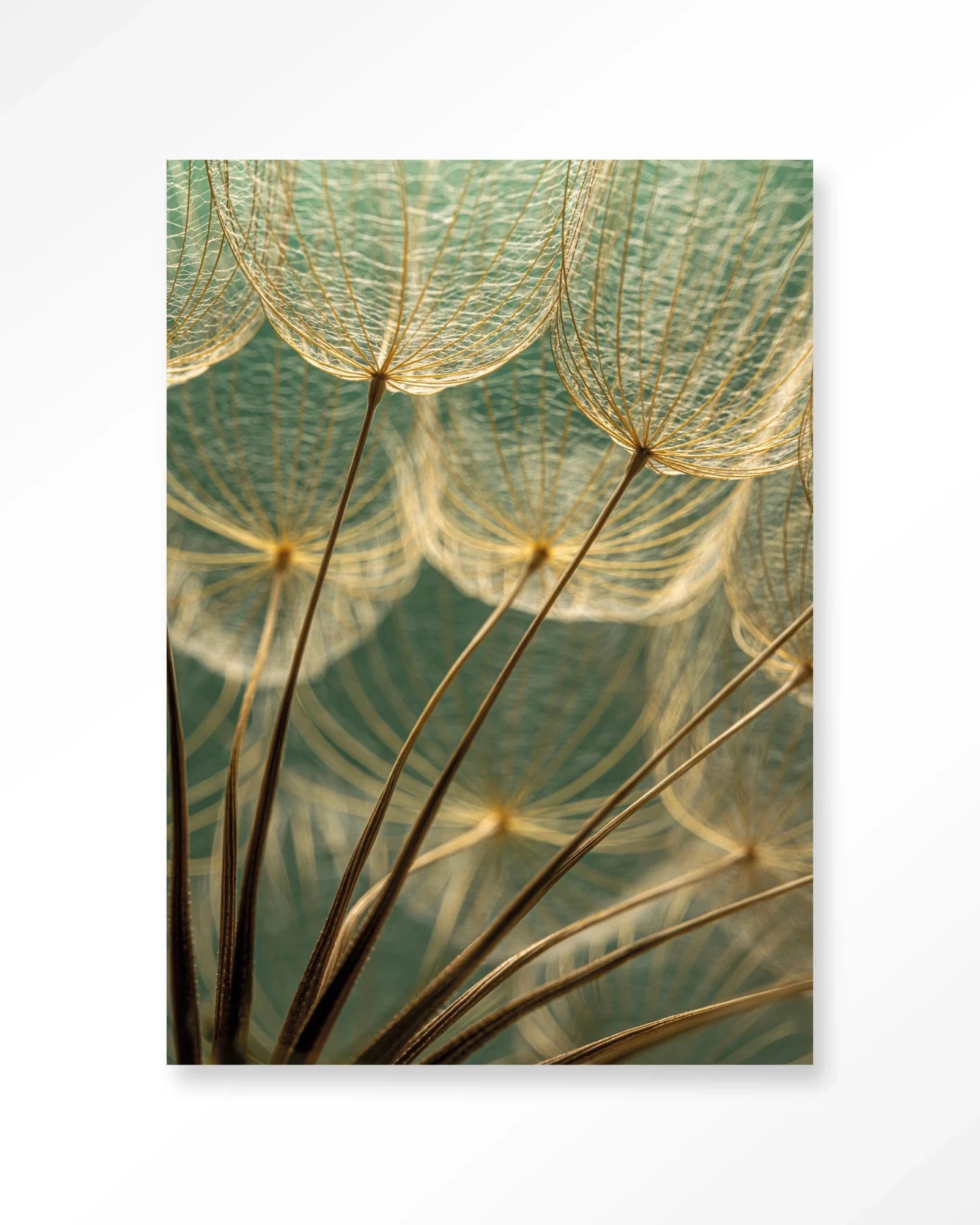 Van Abstractie Tot Detail - Moderne Wanddecoratie | Artprint, Glass Art, Wandkleed by Urban Cotton